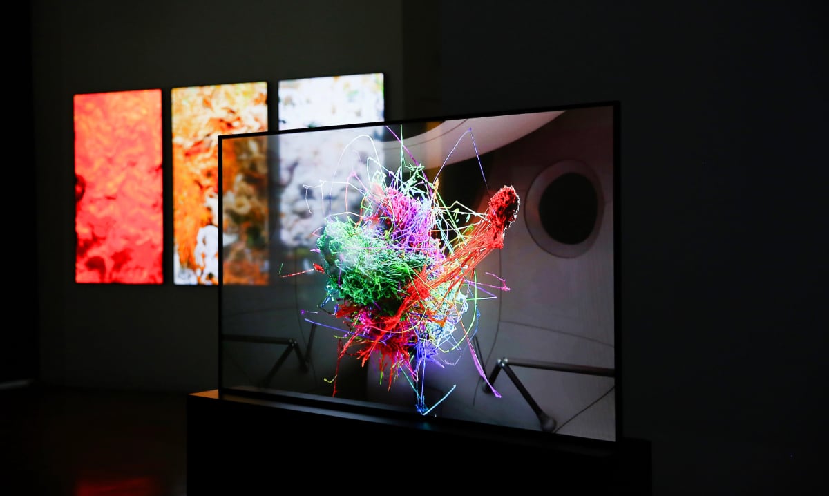 Gennemsigtig OLED Gennemsigtig OLED