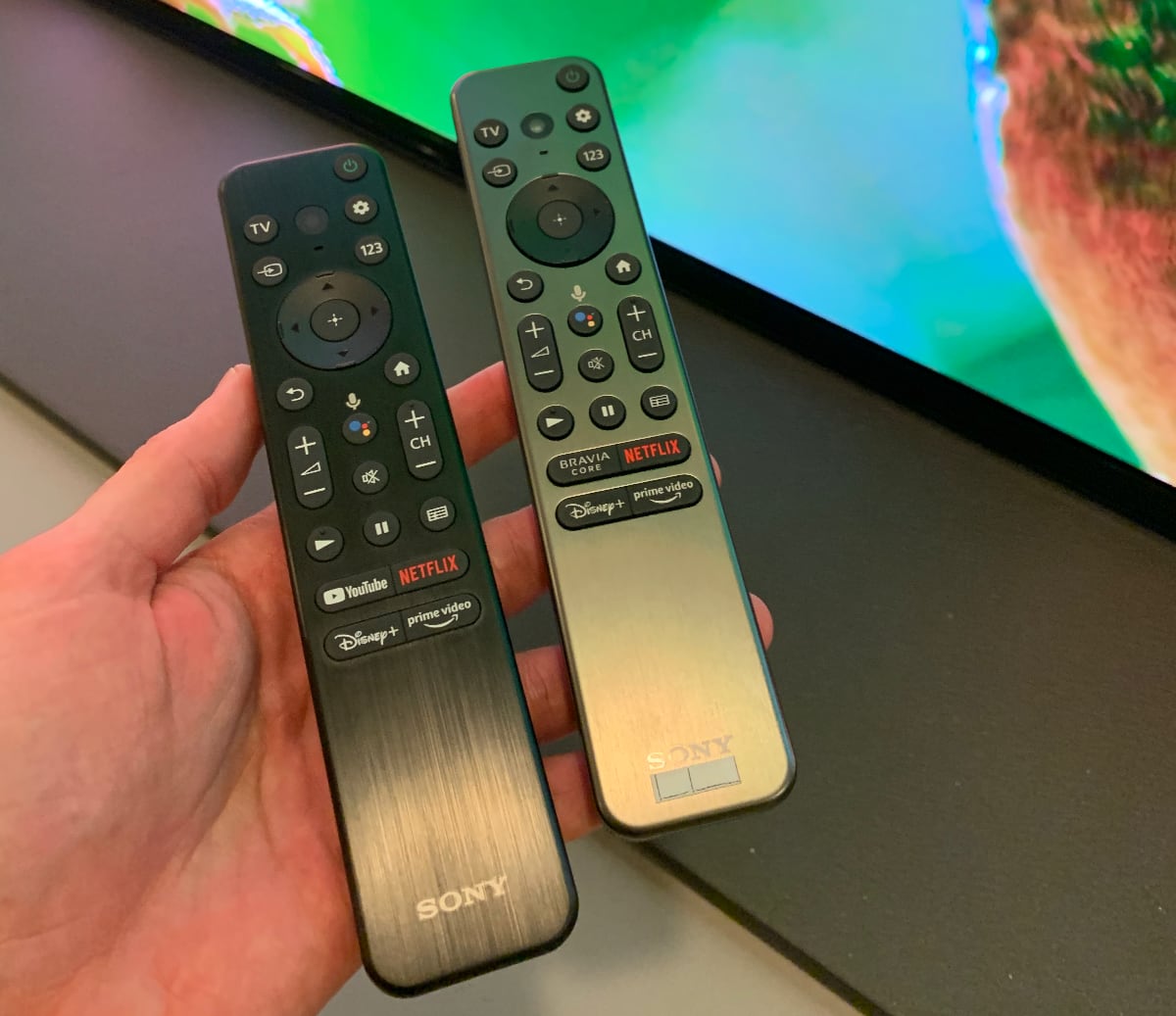 Sony 2022 remote