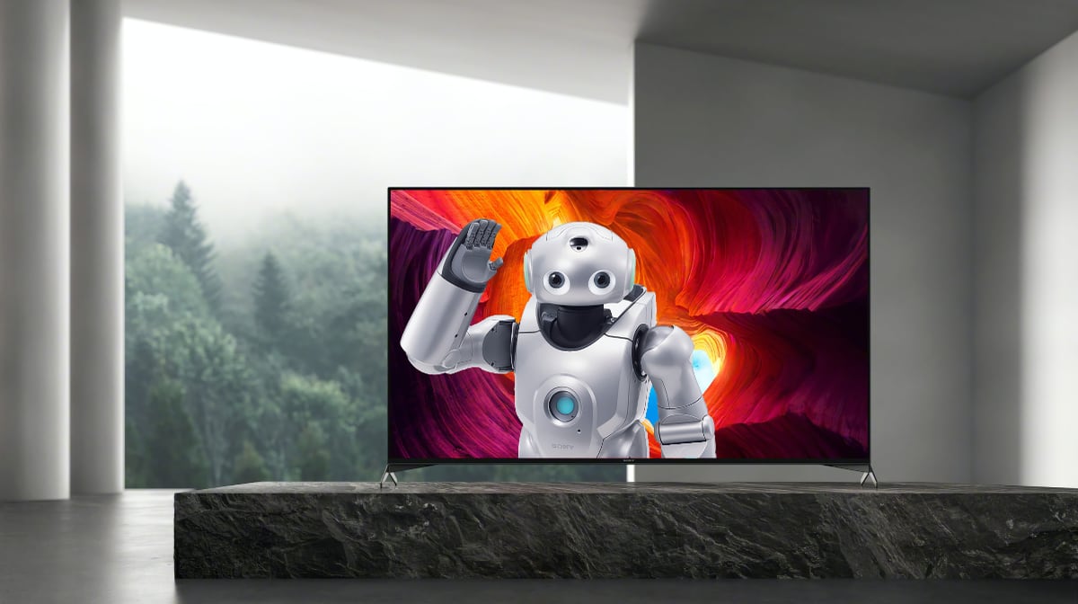 Sony TV robot