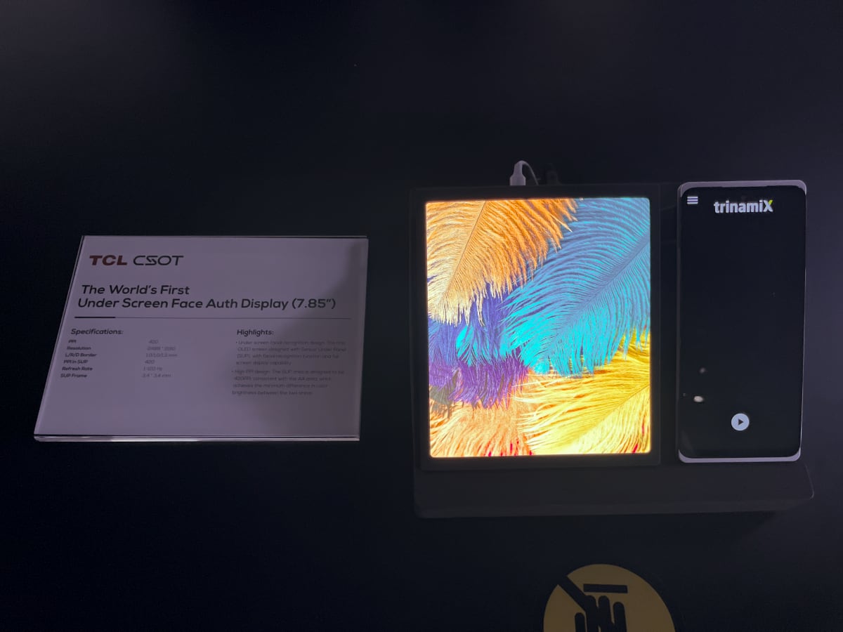TCL OLED
