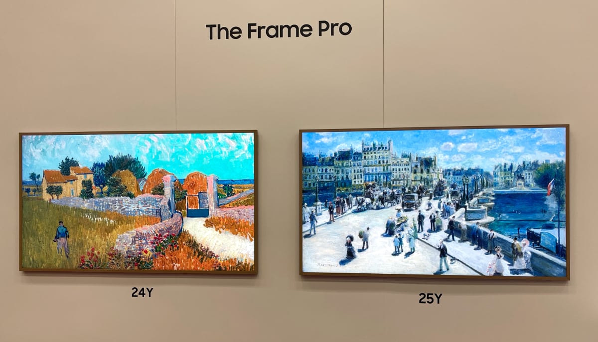 The Frame Pro The Frame Pro